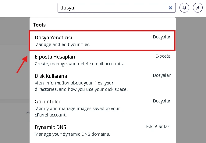 cPanel Dosya yöneticisi
