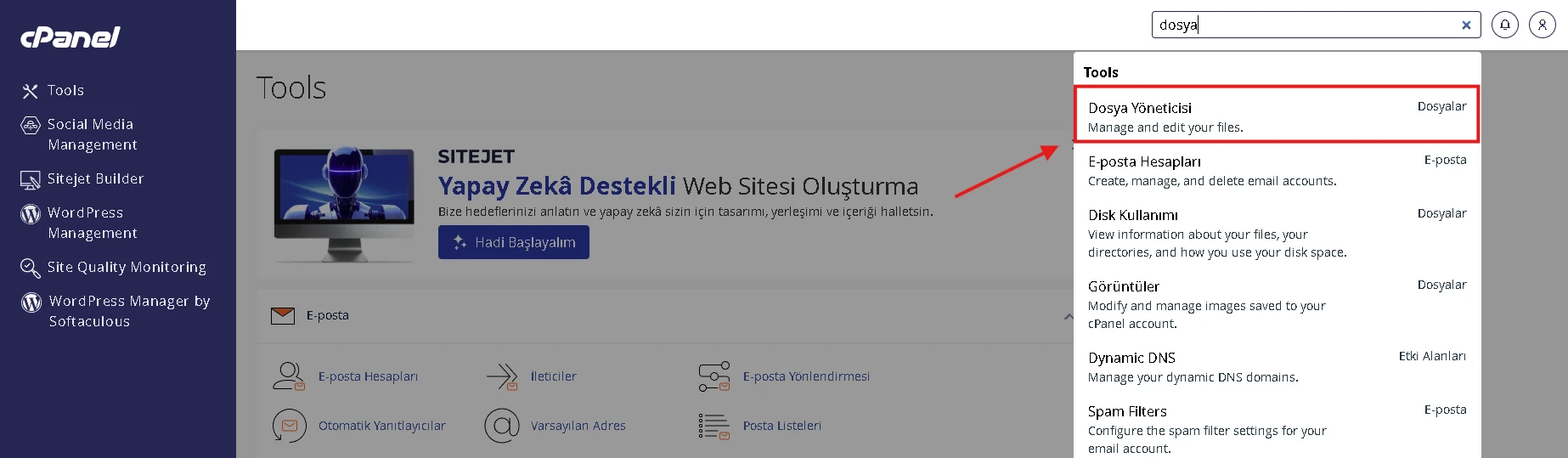 cPanel Dosya Yöneticisi