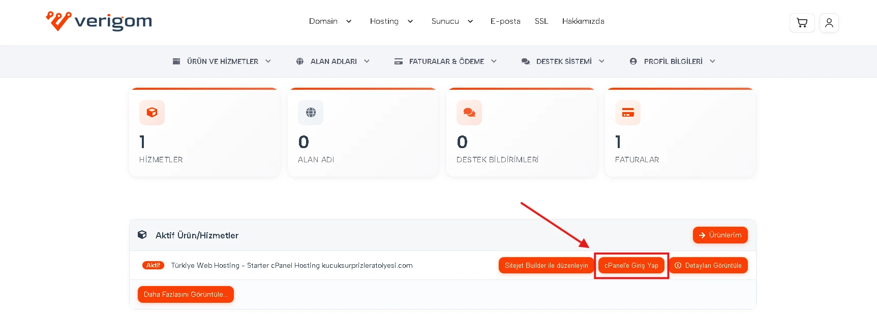 cpanelde Softaculous ile WordPress Kurulumu