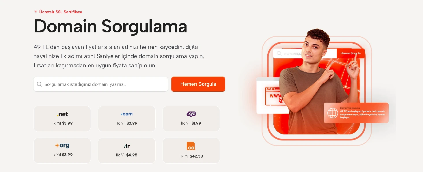 domain sorgulama