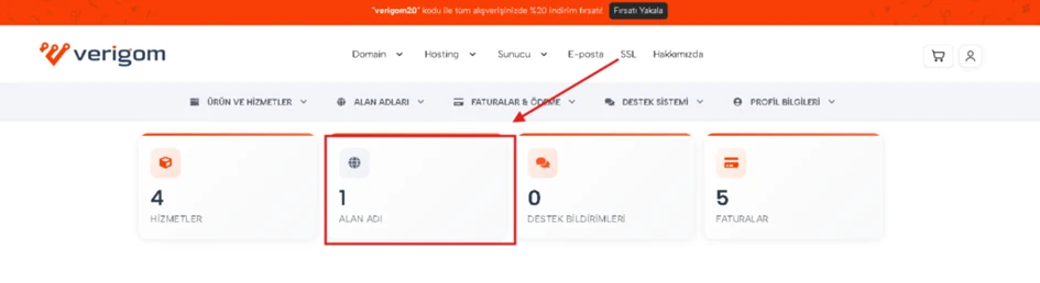 Alan adı DNS (nameserver) değiştirme