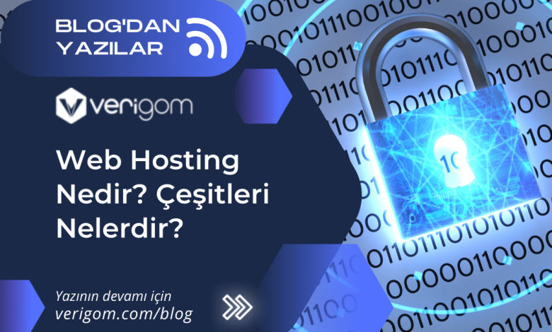 web hosting nedir