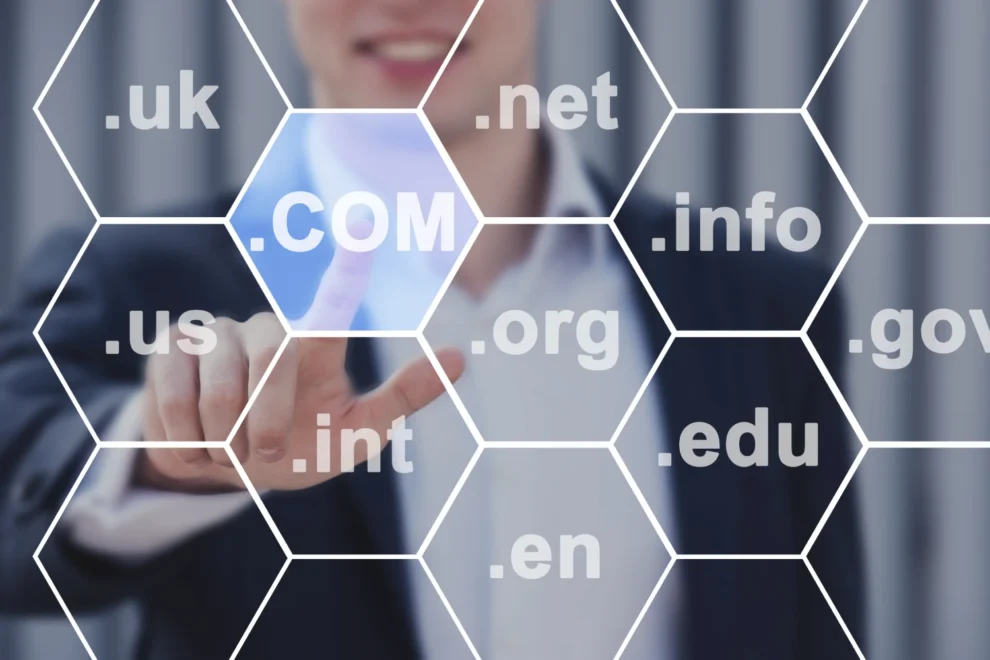 domain uzanti