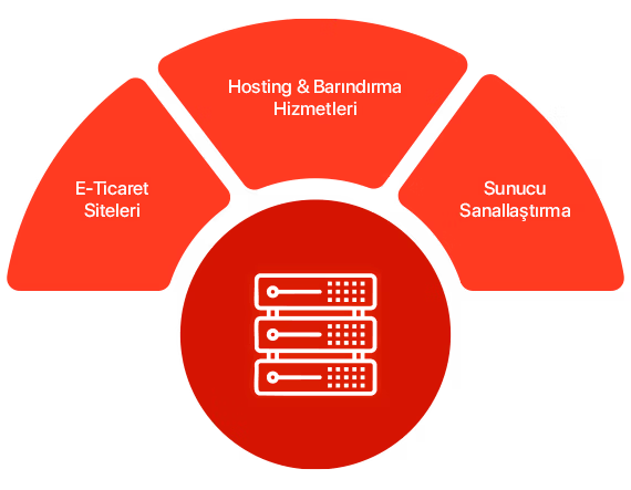 Fiziksel Sunucu İle Neler Yapabilirsin?